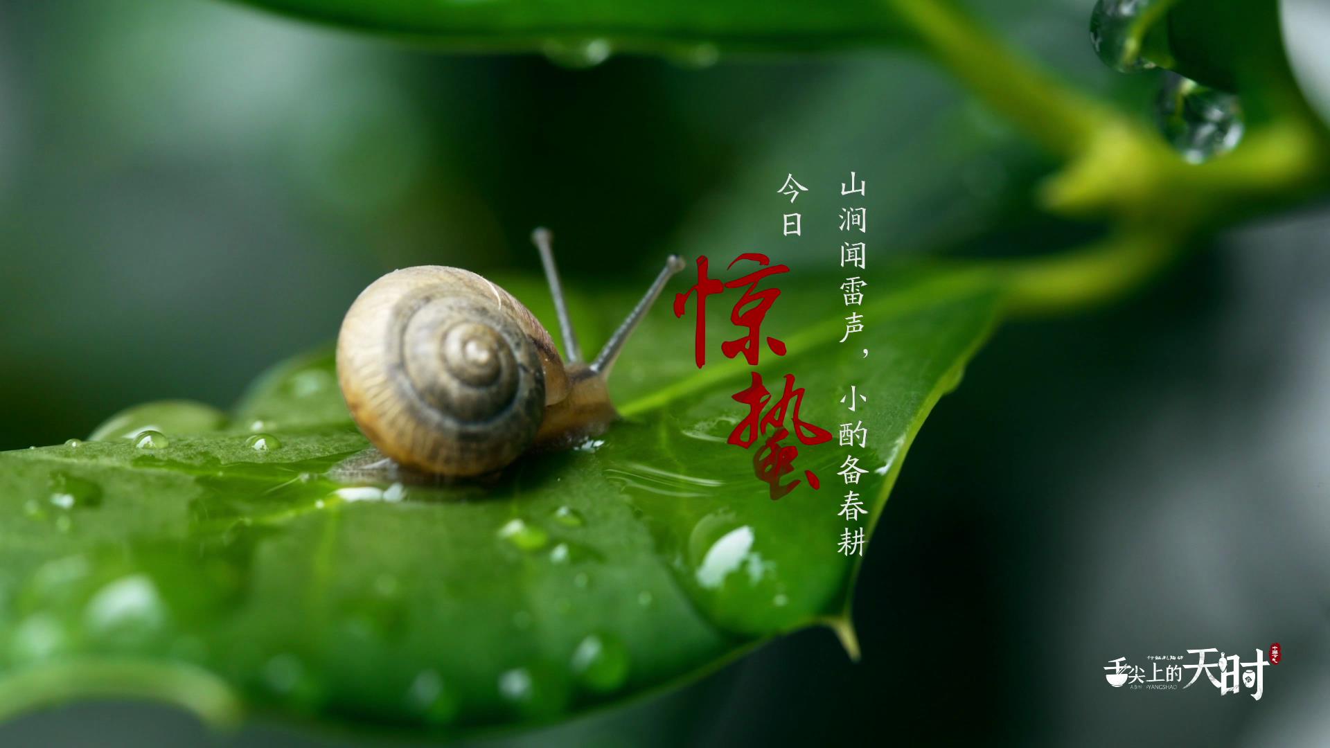 &#21315;&#20159;&#24179;&#21488;&#45;&#21315;&#20159;&#65288;&#20013;&#22269;&#65289;&#19968;&#31449;&#24335;&#26381;&#21153;&#24179;&#21488;